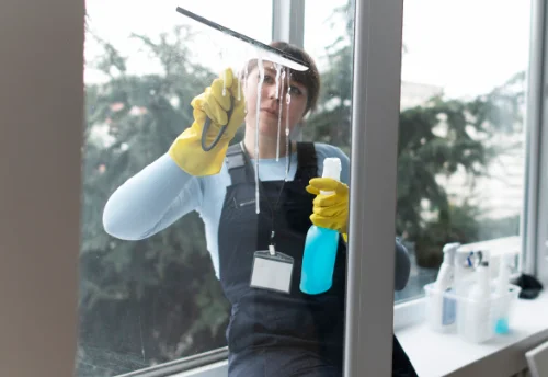 Nettoyage de vitres intérieures et extérieures à Domessin